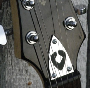 Guitar 3 truss rod cover, click for hi-res