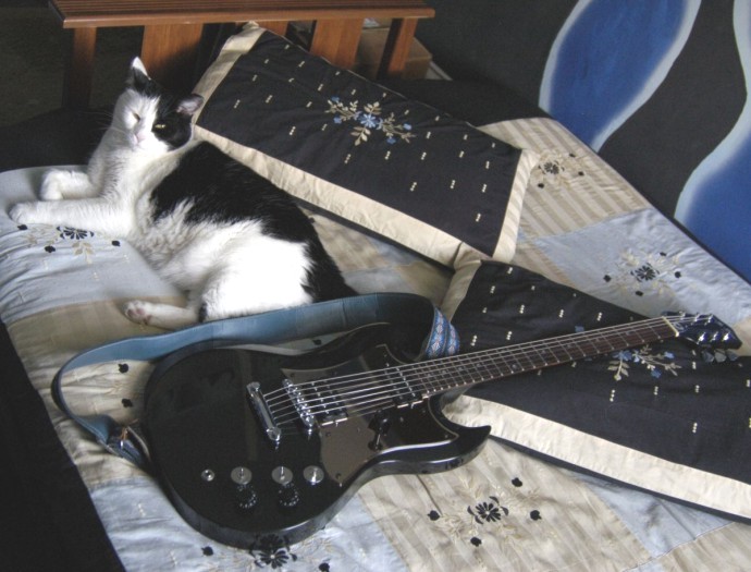 Guitar 4 with Jellicle the cat, click for hi-res